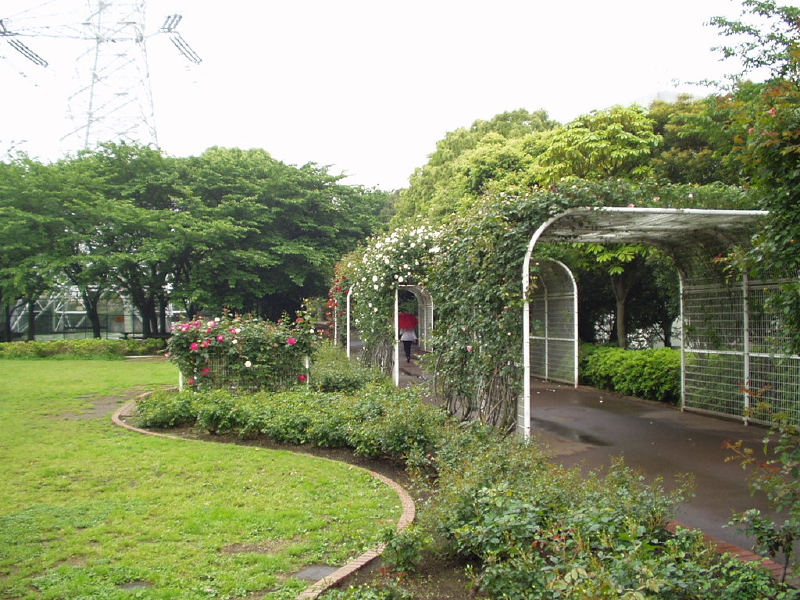 img0068.jpg