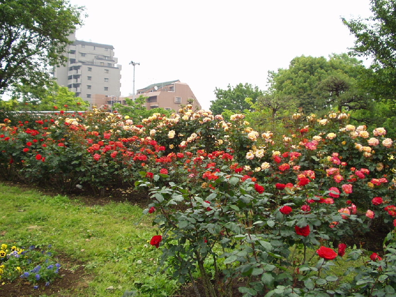 img0070.jpg