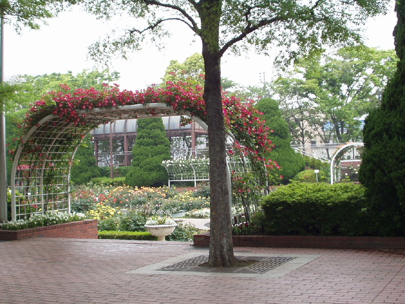 img0073.jpg