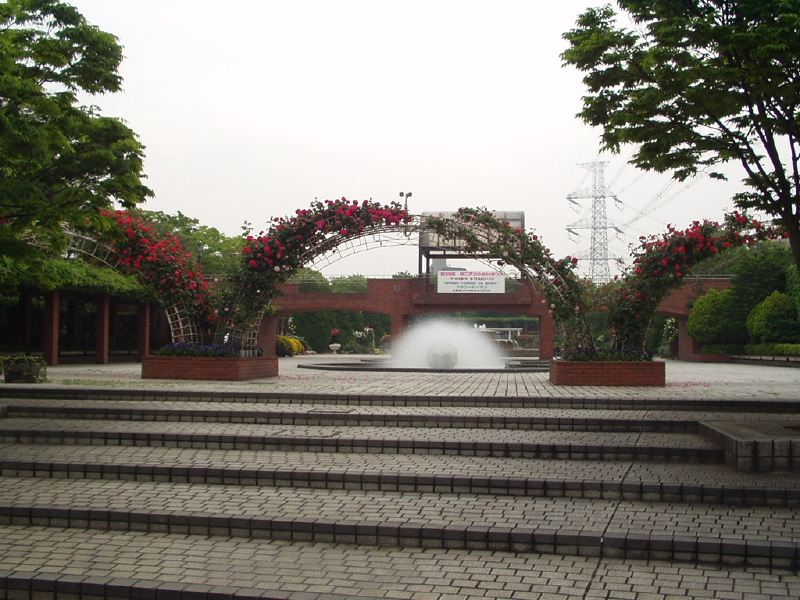 img0076.jpg