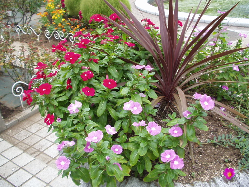 img0080.jpg