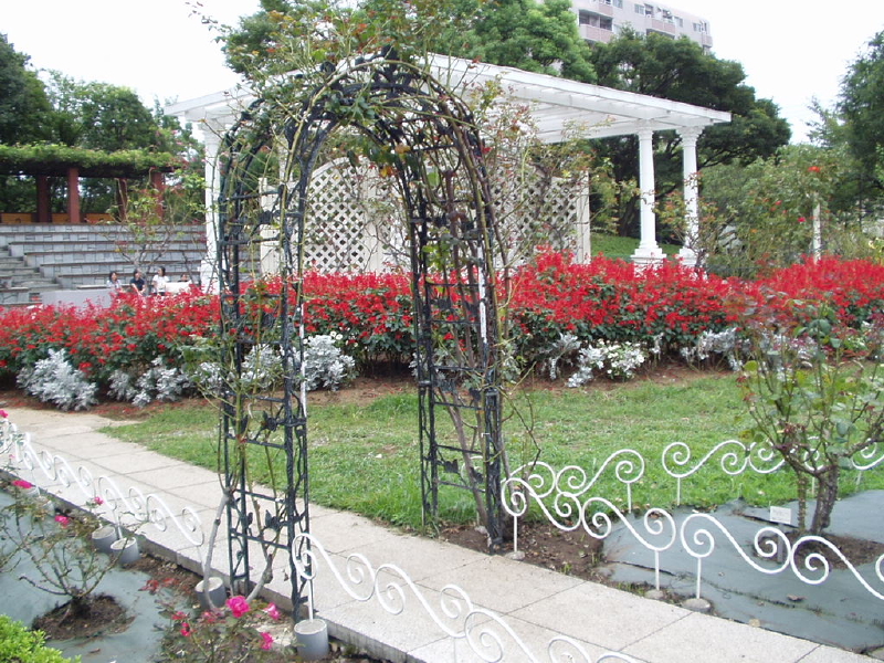 img0081.jpg