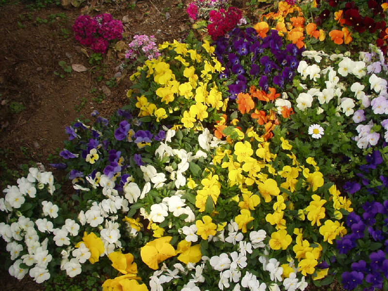 img0086.jpg