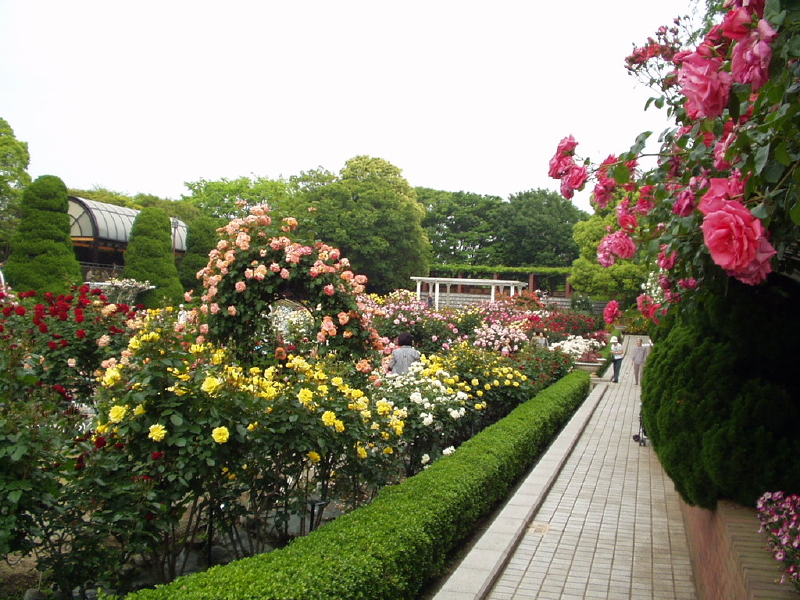 img0093.jpg