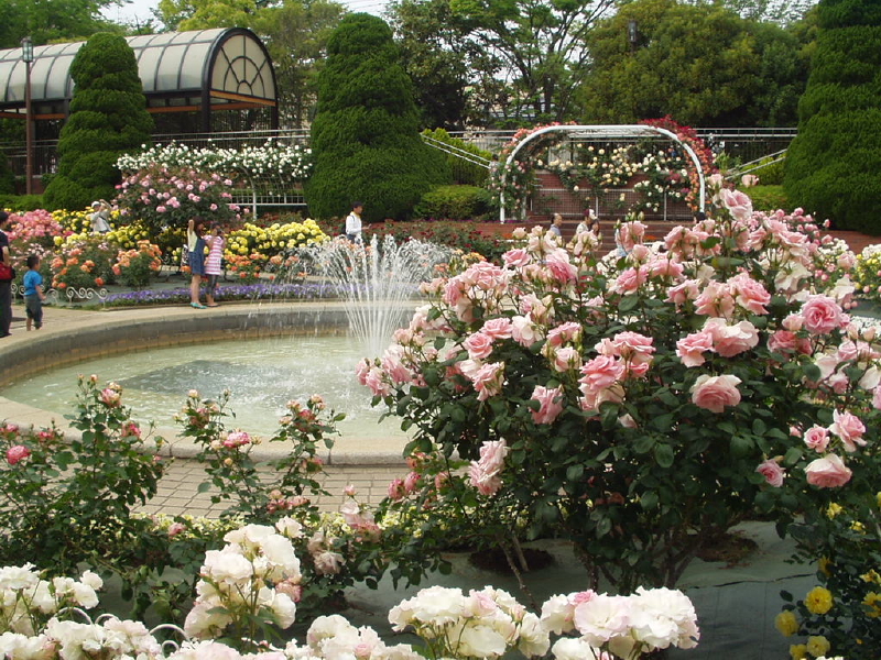 img0094.jpg