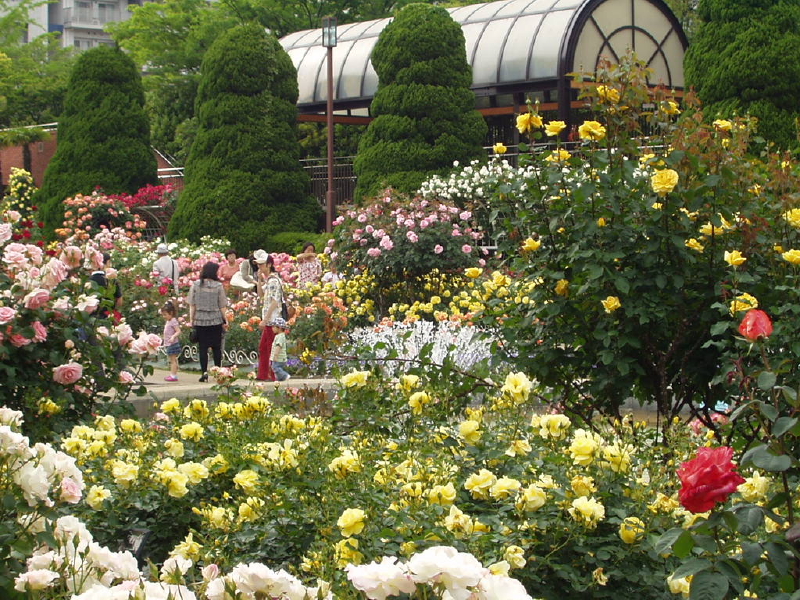 img0097.jpg