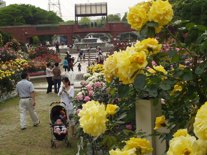 img0098.jpg