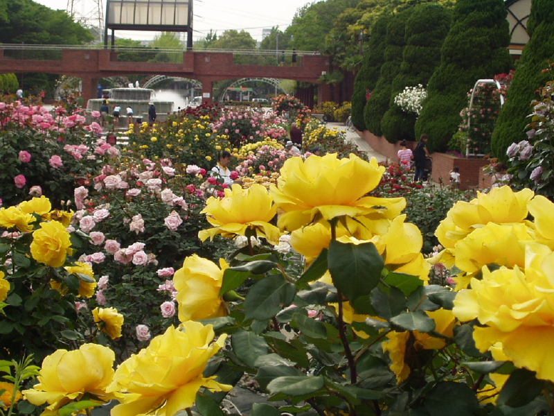img0099.jpg