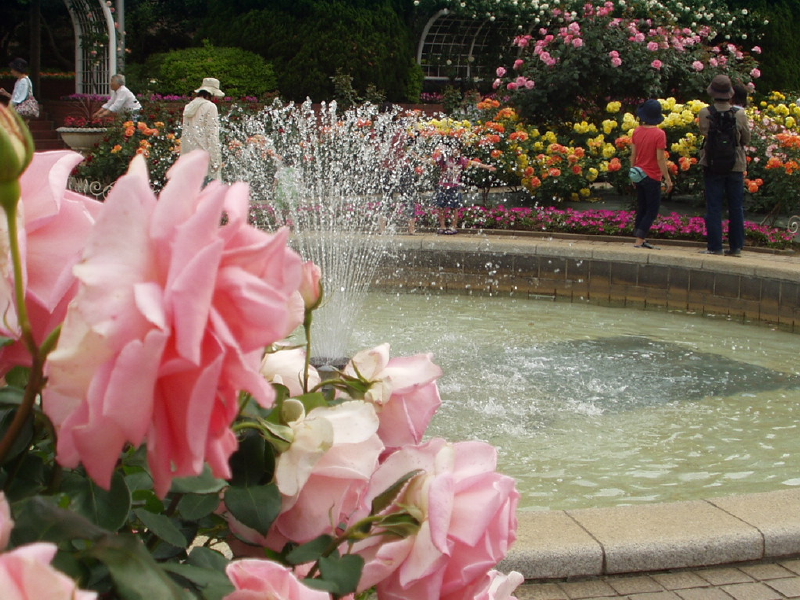 img0102.jpg