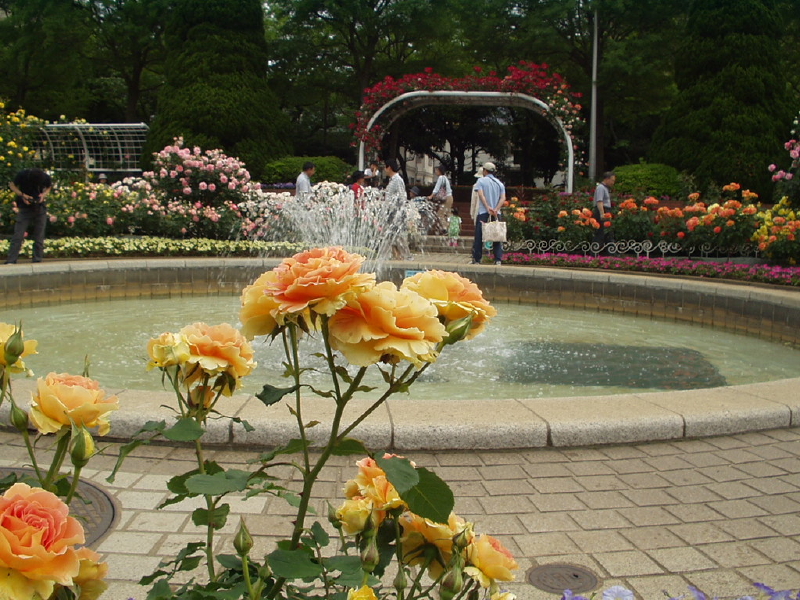 img0103.jpg