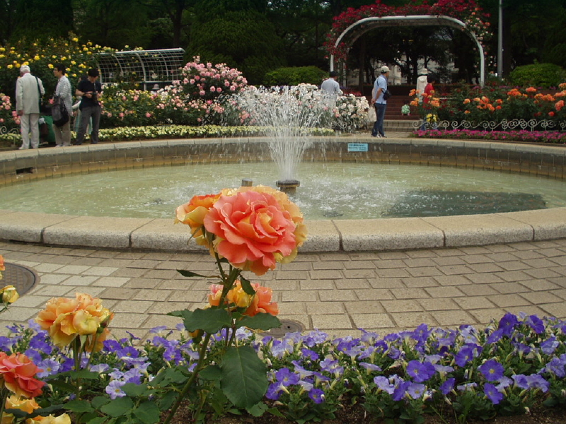 img0104.jpg