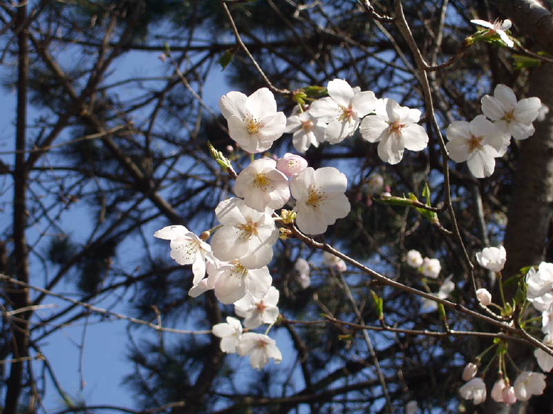 img0105.jpg