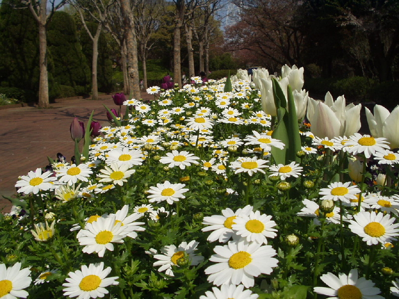 img0108.jpg