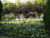 img0012.jpg