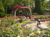 img0017.jpg