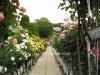 img0019.jpg