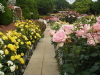 img0020.jpg