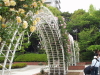img0022.jpg