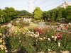 img0024.jpg