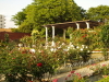 img0030.jpg