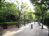 img0033.jpg