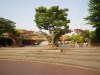 img0036.jpg