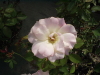 img0045.jpg