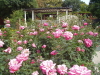img0047.jpg