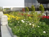 img0053.jpg