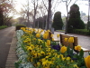 img0054.jpg