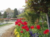 img0056.jpg