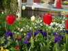 img0057.jpg