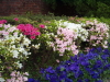 img0059.jpg