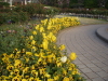 img0060.jpg
