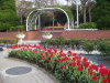 img0061.jpg