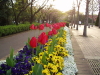 img0063.jpg