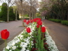 img0064.jpg
