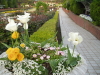 img0065.jpg