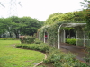 img0068.jpg
