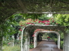 img0069.jpg