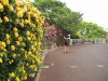img0071.jpg