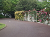 img0072.jpg