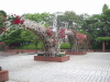 img0075.jpg