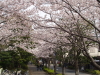 img0084.jpg