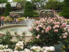 img0094.jpg