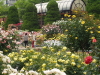 img0097.jpg