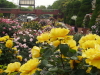 img0099.jpg