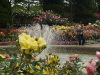 img0101.jpg