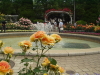 img0103.jpg