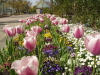 img0110.jpg